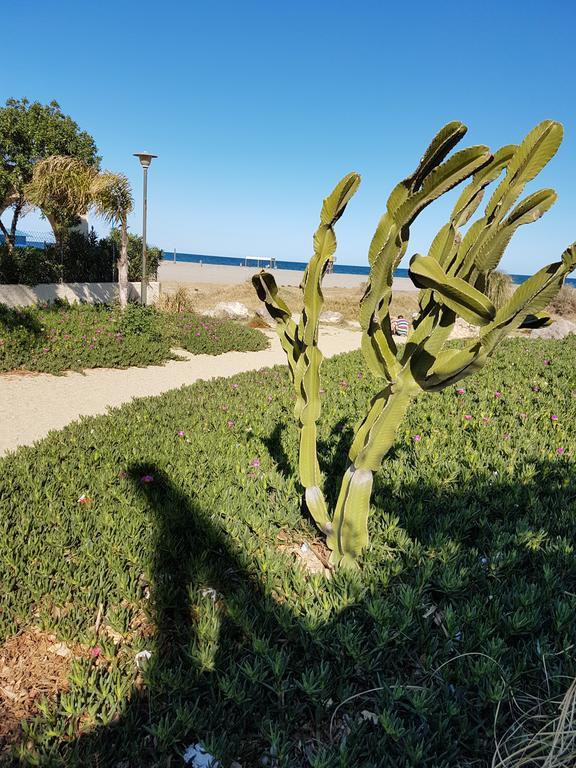Apartment In Marina Rey Complex Vera Zewnętrze zdjęcie